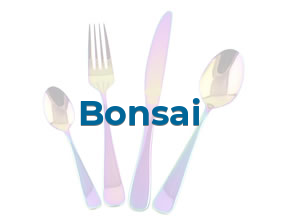 Bonsai en Santander