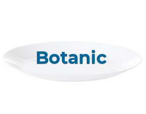 Botanic en Barcelona