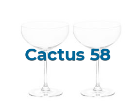 Cactus 58 en Almería