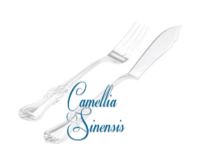 Camellia Sinensis en Cerdanyola del Vallès