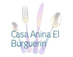 Casa Anina El Burguerin en Oviedo