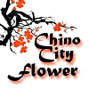 Restaurante Chino City Flower en Madrid