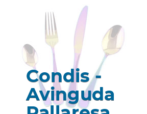 Condis - Avinguda Pallaresa en Santa Coloma de Gramenet