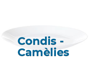 Condis - Camèlies en Barcelona