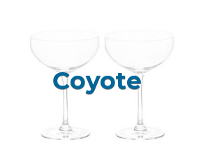 Coyote en Calp