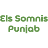 Els Somnis Punjab Kebab en Puçol