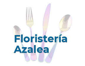 Floristería Azalea en Valencia