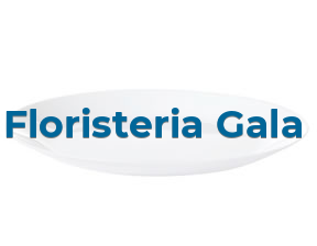 Floristeria Gala en Valladolid