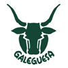 Galeguesa Vigo en Vigo