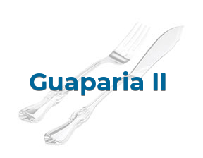 Guaparia II en Valencia