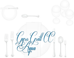 Gyro Grill CC Aqua en Valencia