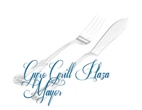 Gyro Grill Plaza Mayor en Madrid