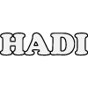 Hadi Doner Kebab en Granollers