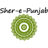 Sher-E-Punjab Comida India* en Barcelona