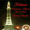 Kashmir Kebab Pizzería en Valencia