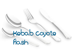 Kebab Coyote Flash en Colmenar Viejo