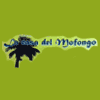 La Casa de Mofongo en Madrid