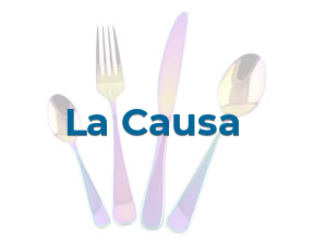 La Causa en Zaragoza