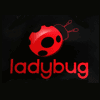 Ladybug en Valencia