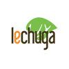 Lechuga en Malaga