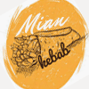 Mian Kebab en Santa Coloma de Farners