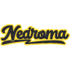 Nedroma Pizzería en Castellon De La Plan