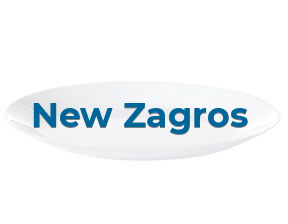 New Zagros en Madrid