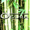 Ogura Restaurante Japonés en Barcelona