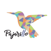 Pajarillo en Madrid