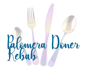 Palomera Doner Kebab en León