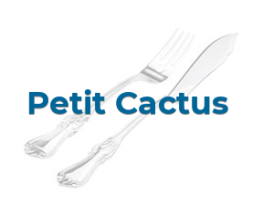 Petit Cactus en Móstoles