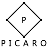 Pícaro en Madrid