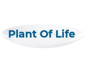 Plant Of Life en Castellón de la Plana
