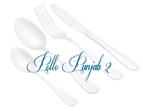 Pollo Punjab 2 en Palencia