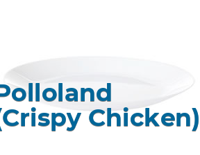 Polloland (Crispy Chicken) en Zaragoza