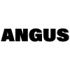 Restaurante Angus en Madrid