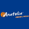 Restaurante Anatolia en Móstoles