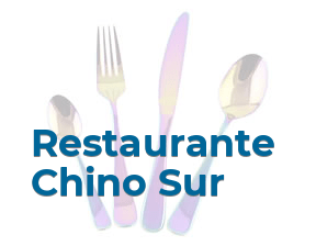 Restaurante Chino Sur en Madrid