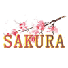 Sakura Japones en Badajoz
