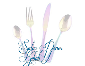 Salar Doner Kebab Y Pizzería* en Vilanova del Camí