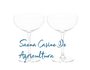 Saona Casino De Agricultura en Valencia