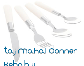 Taj Mahal Donner Kebab y Pizzería en Tarragona