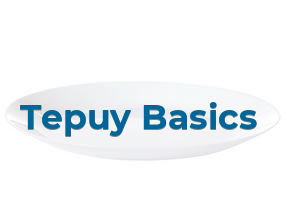 Tepuy Basics* en Madrid
