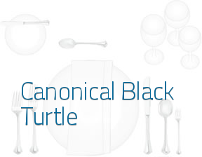 Canonical Master Black Turtle en Olmeda de la Cuesta