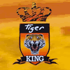 Tiger King en Arganda del Rey