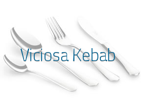 Viciosa Kebab en Villaviciosa de Odón