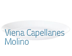 Viena Capellanes Molino en Madrid