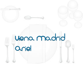 Viena Madrid Ariel en Madrid