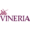 Vinería San Telmo en Sevilla