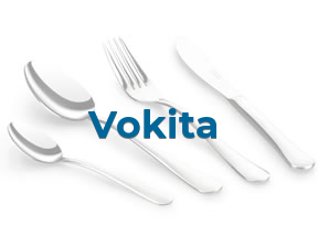 Vokita en Zaragoza